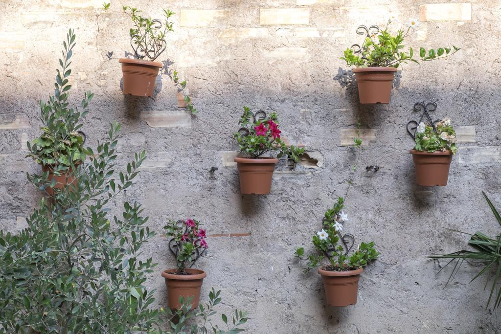 רומא Colosseum Garden מראה חיצוני תמונה